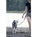 Laisse Multifonctionnelle Pour Chien