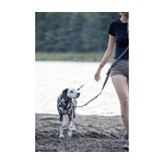 Laisse Multifonctionnelle Pour Chien