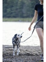 Laisse Multifonctionnelle Pour Chien