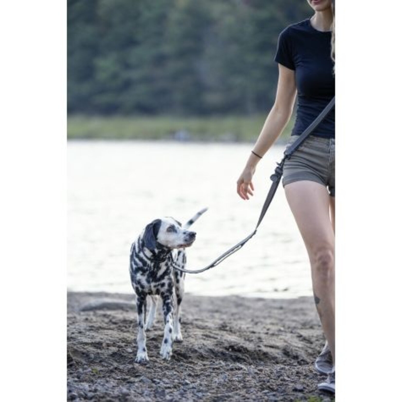 Laisse Multifonctionnelle Pour Chien