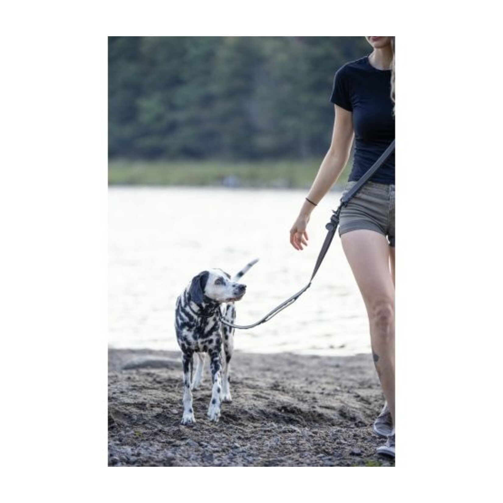 Laisse Multifonctionnelle Pour Chien