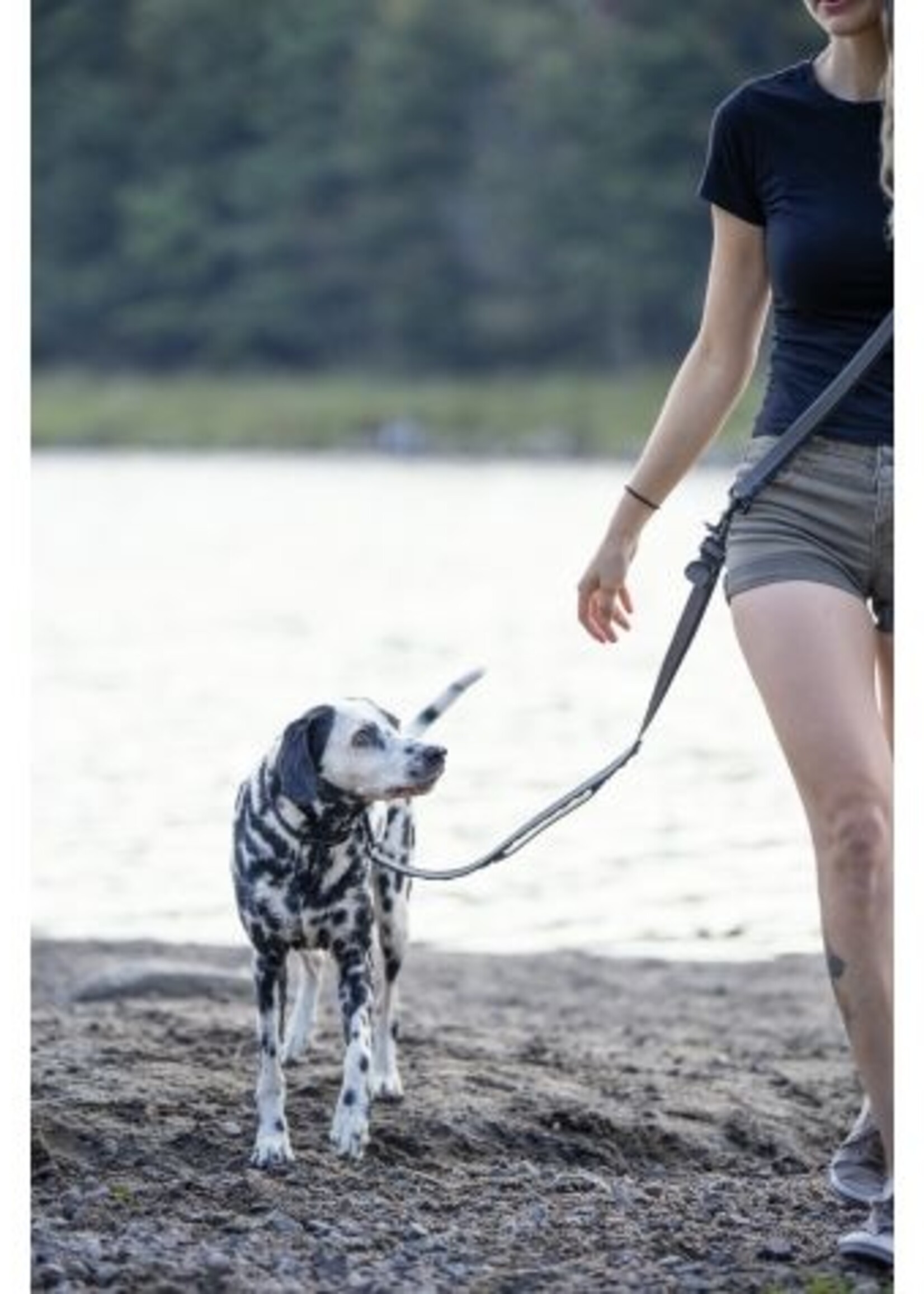 Laisse Multifonctionnelle Pour Chien