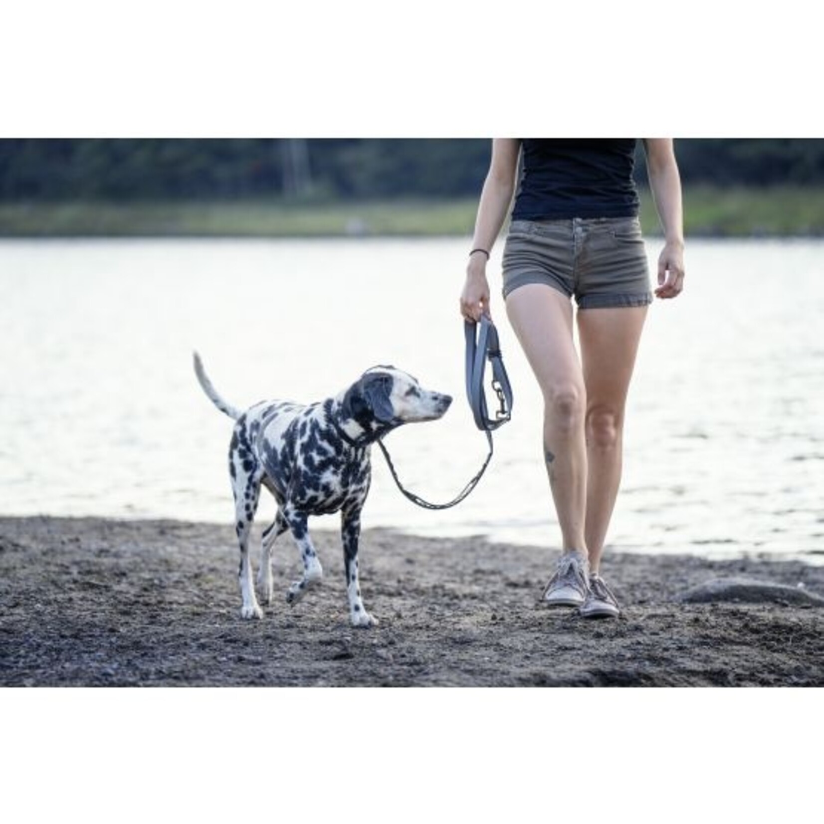 Laisse Multifonctionnelle Pour Chien