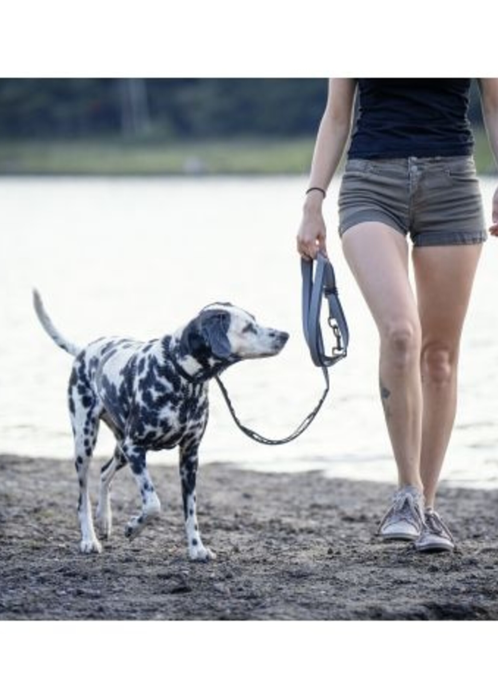 Laisse Multifonctionnelle Pour Chien