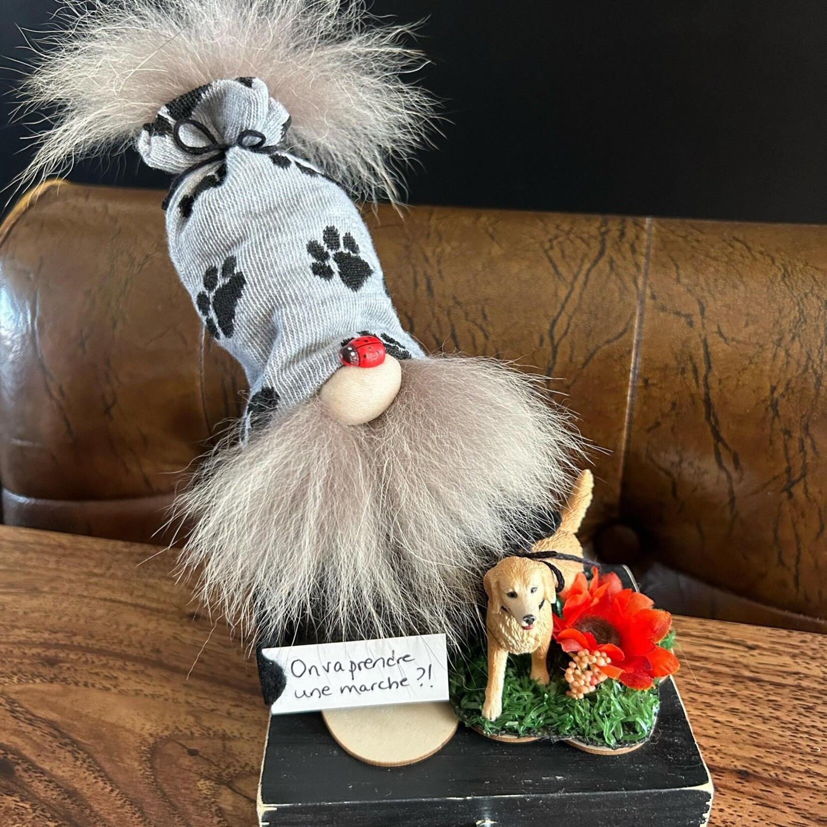 Gnome and his cute companion