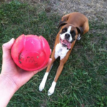 Balle de baseball de grande taille