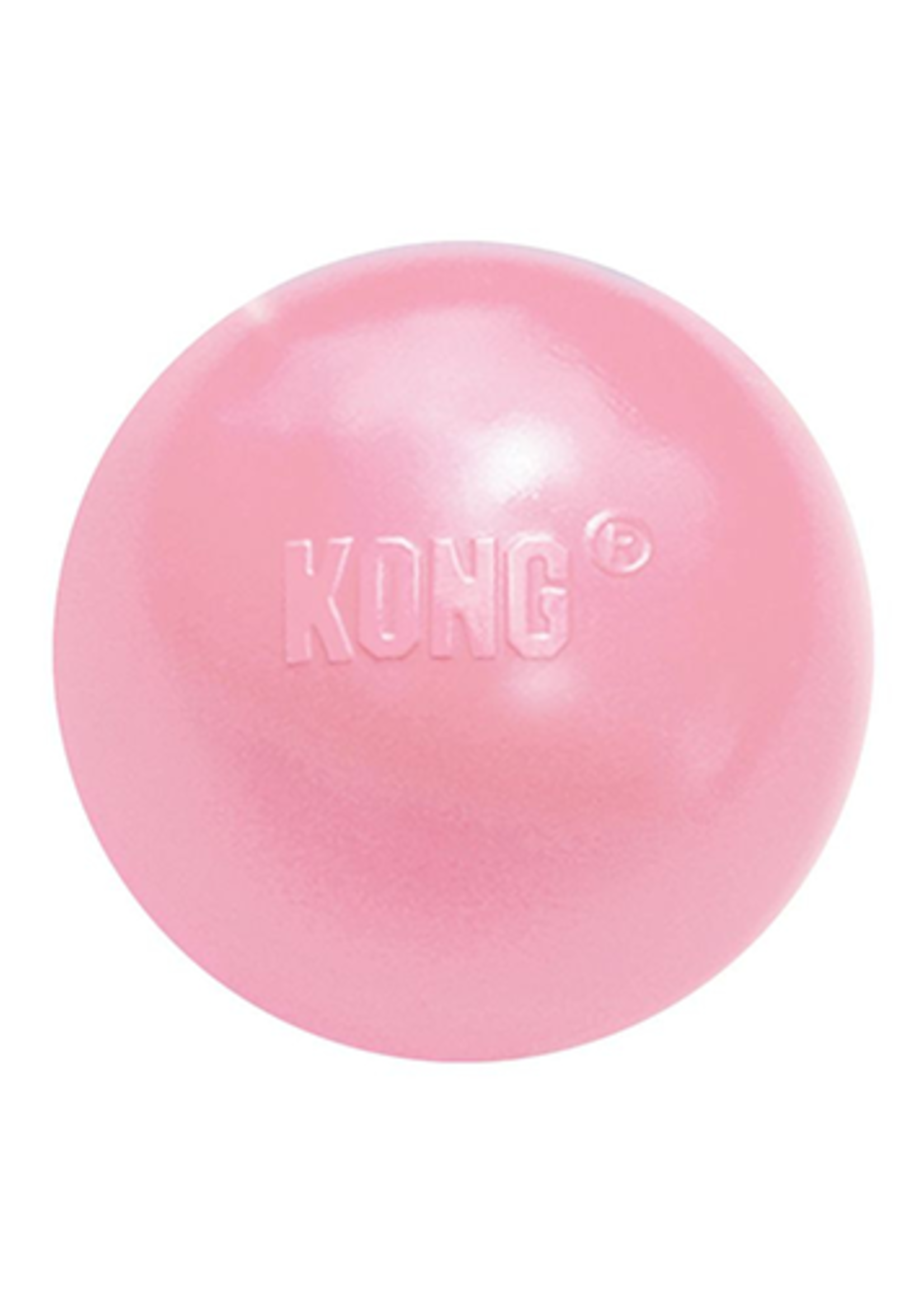kong Jouet pour petit chien Kong