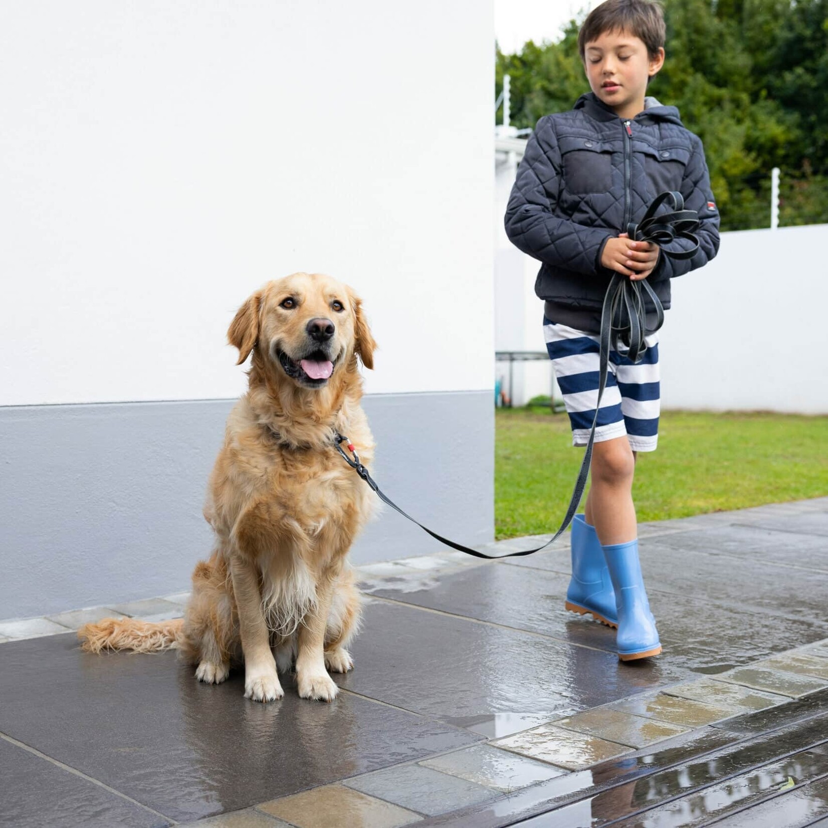 DOG COLLAR (TRAINING)