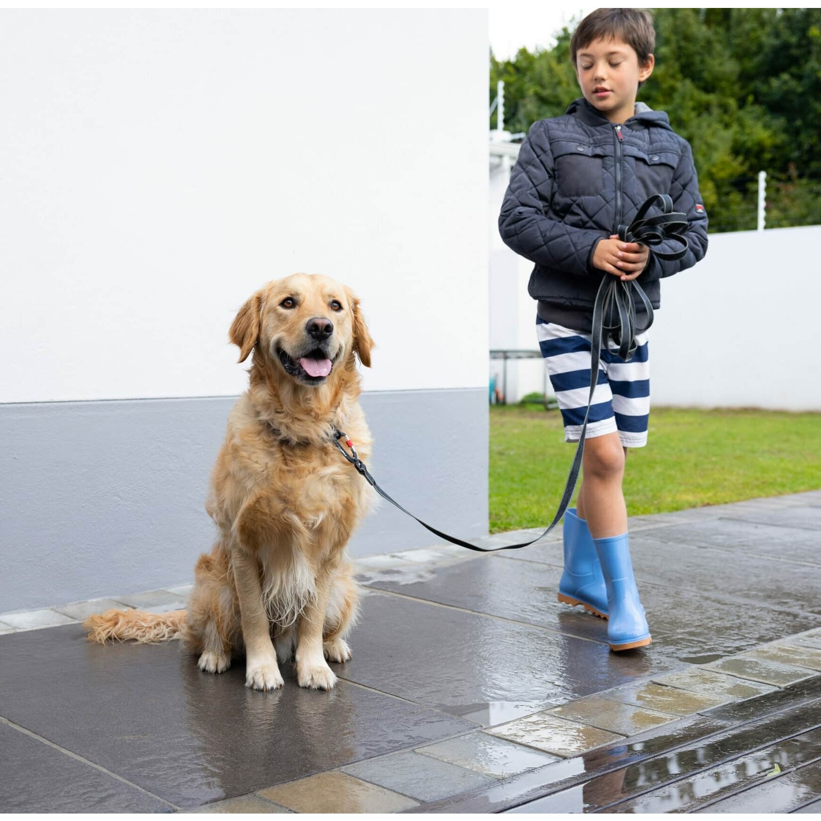 COLLIER POUR CHIEN  (ENTRAINEMENT)