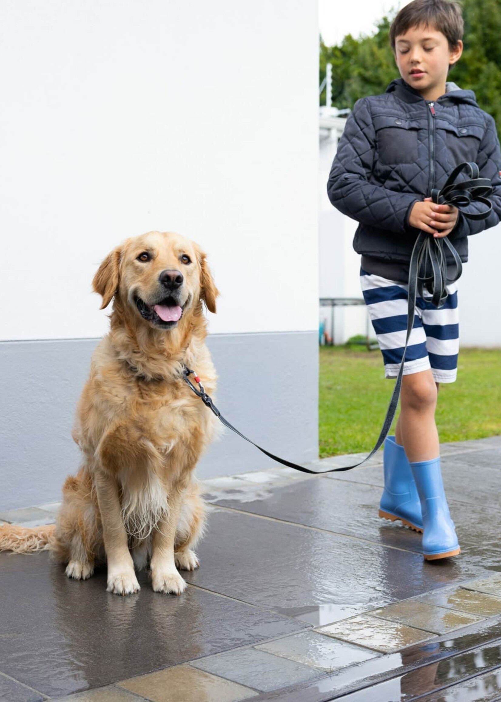 DOG COLLAR (TRAINING)