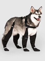 Bottes à bretelles chaudes pour chiens – L’hiver en toute élégance et confort !