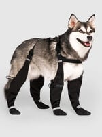 Warm strap boots for dogs – Winter in all elegance and comfort!