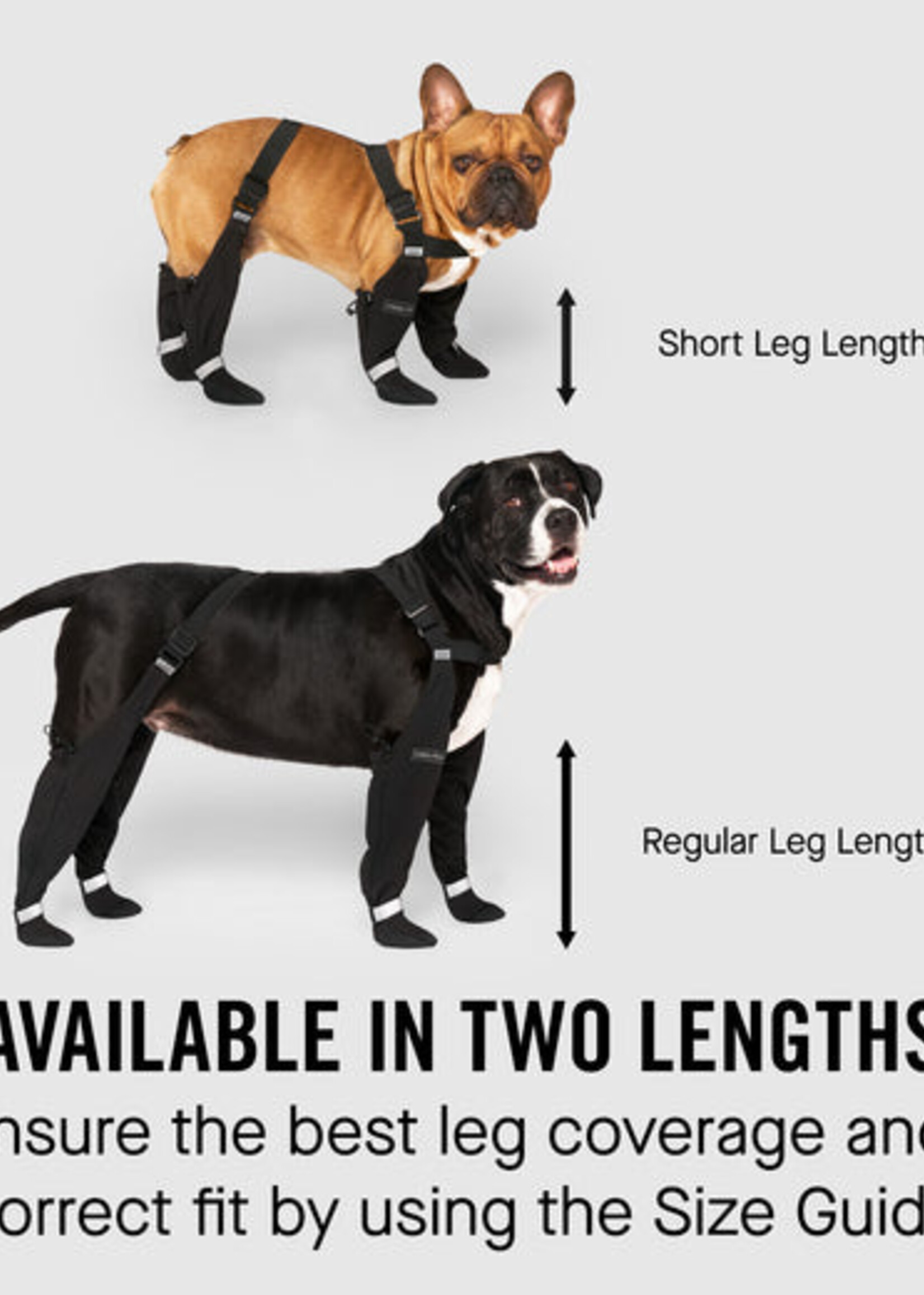 Bottes pour chien contre la pluie et la neige