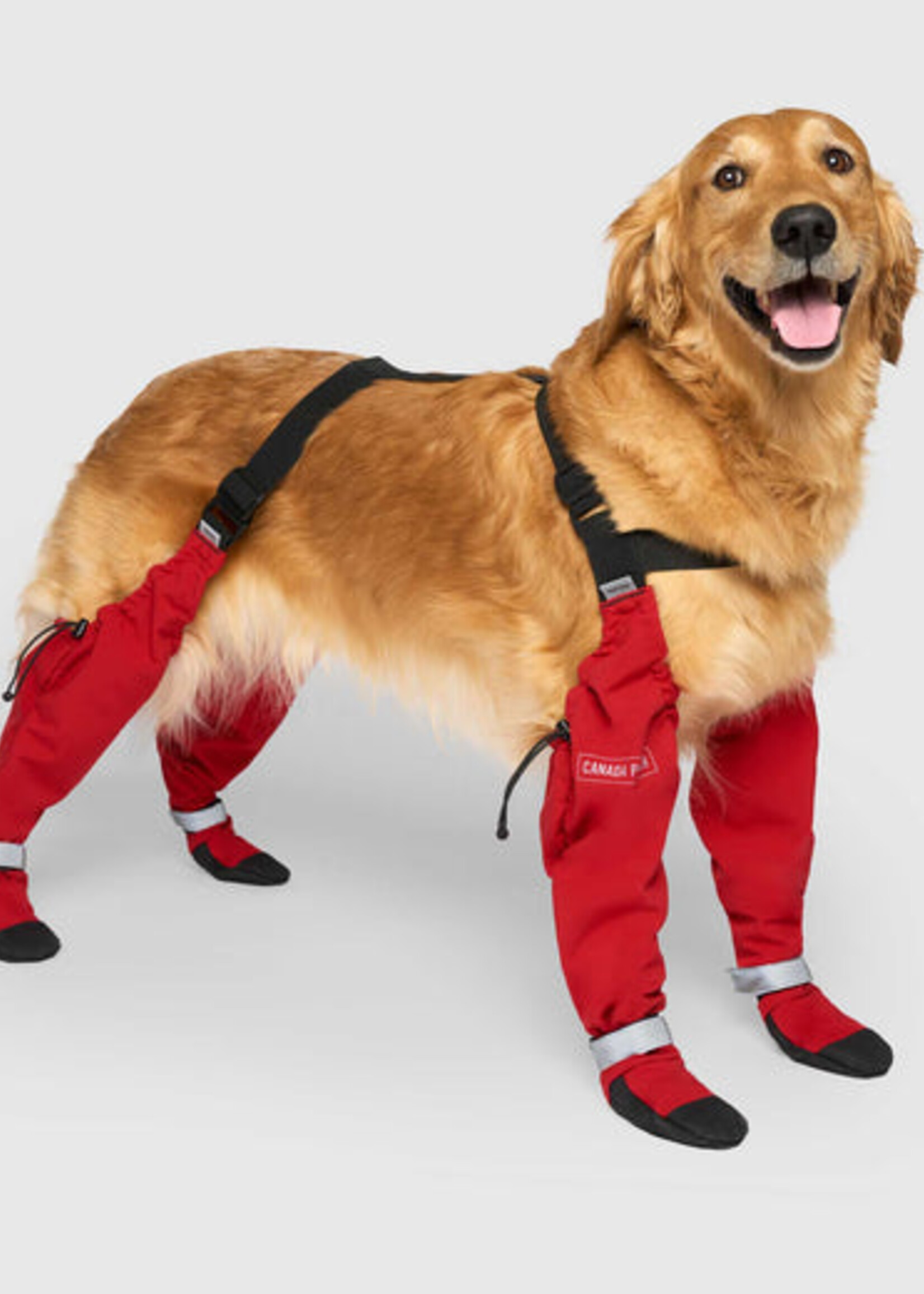 Bottes à bretelles chaudes pour chiens – L’hiver en toute élégance et confort !