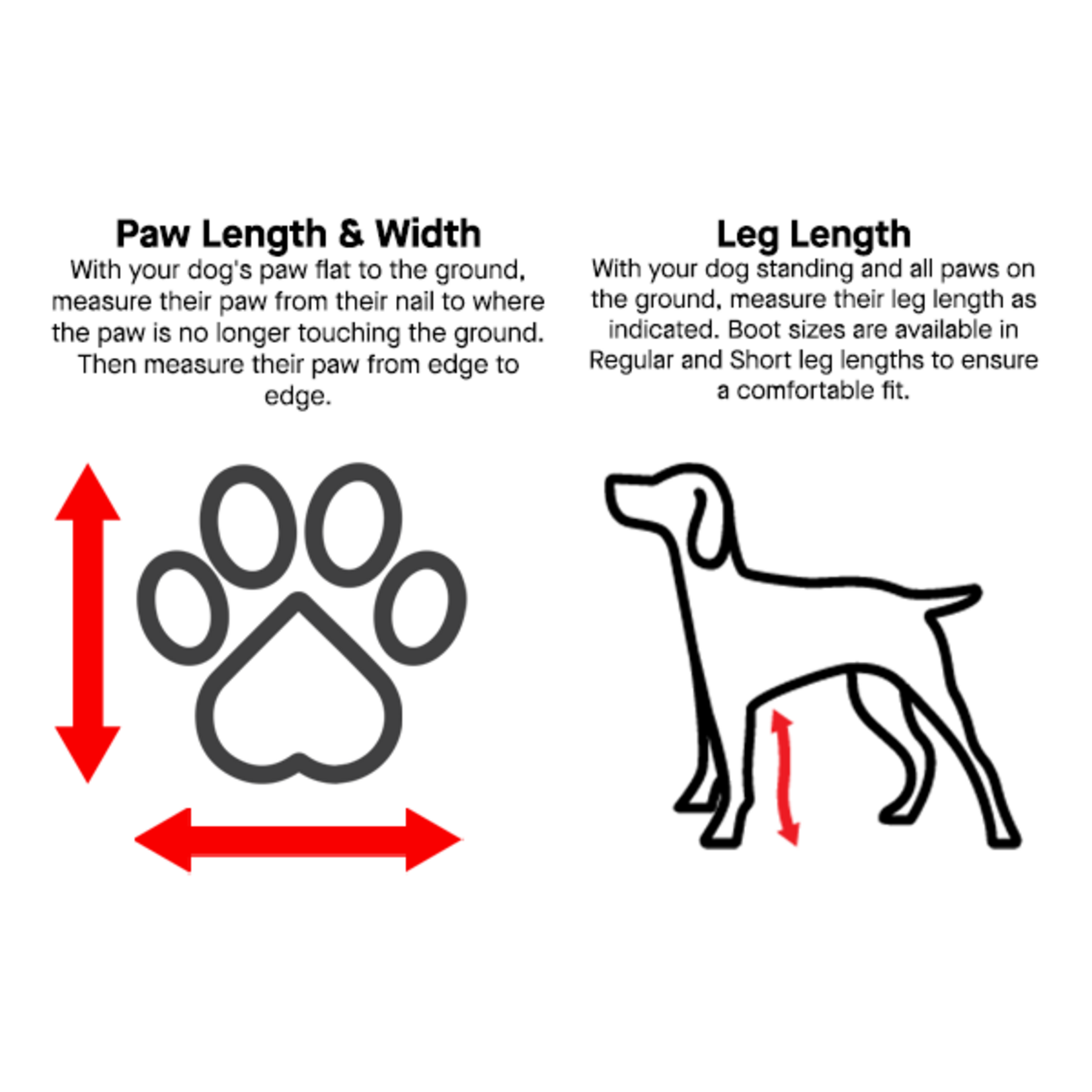 Warm strap boots for dogs – Winter in all elegance and comfort!