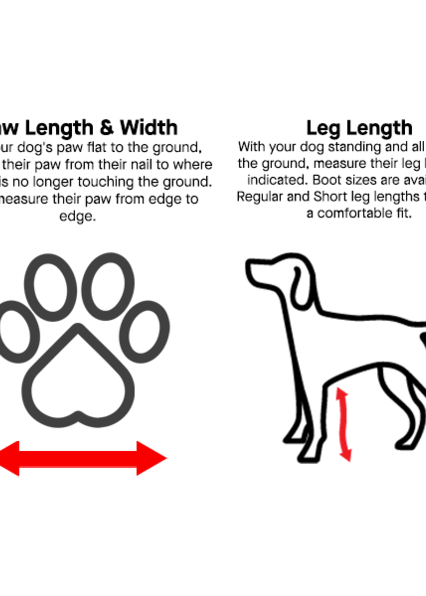 Bottes pour chien contre la pluie et la neige