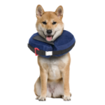 Protective Collar with Dog Calming Disc