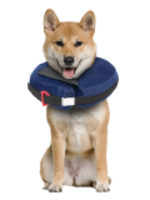 Protective Collar with Dog Calming Disc