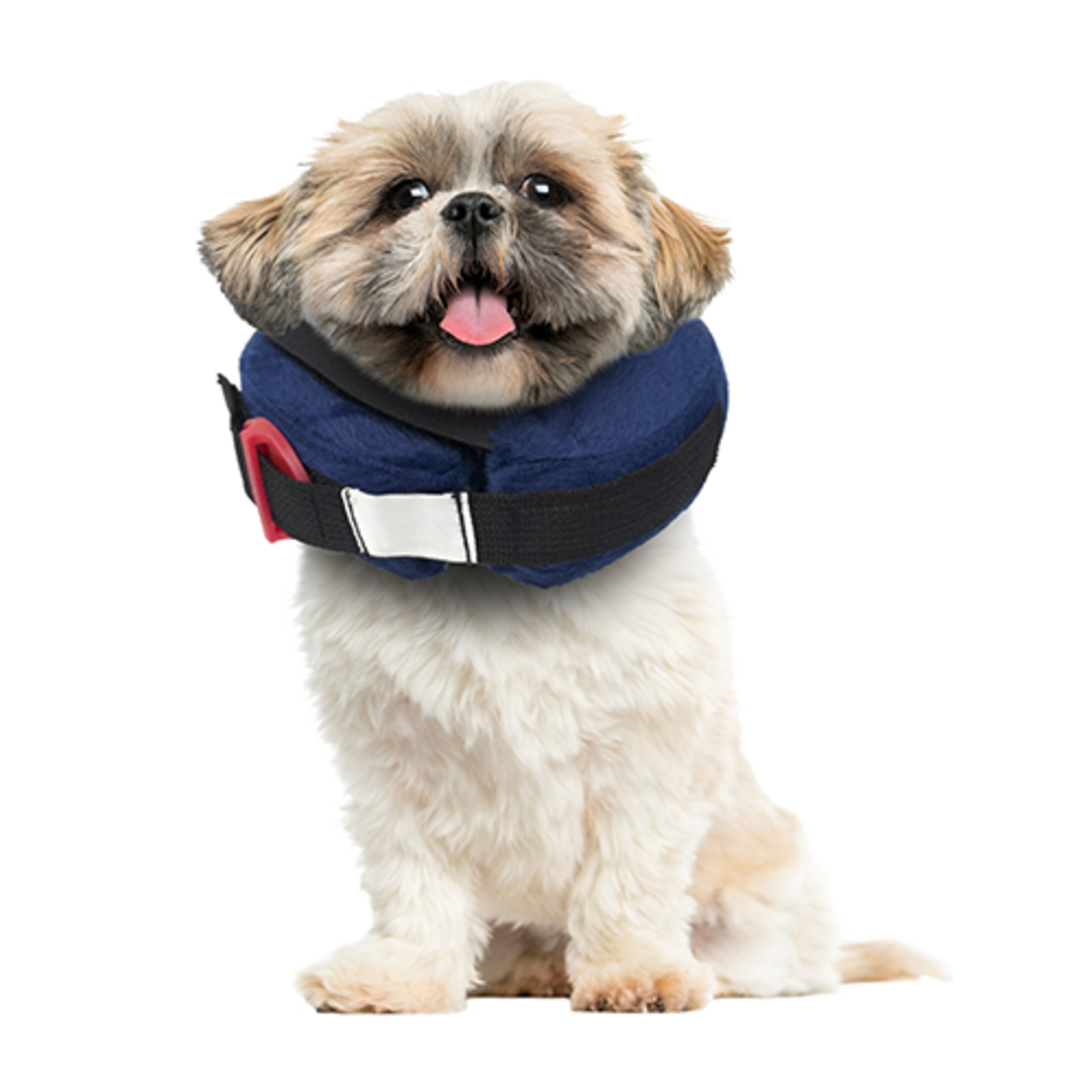 Collier post chirurgie