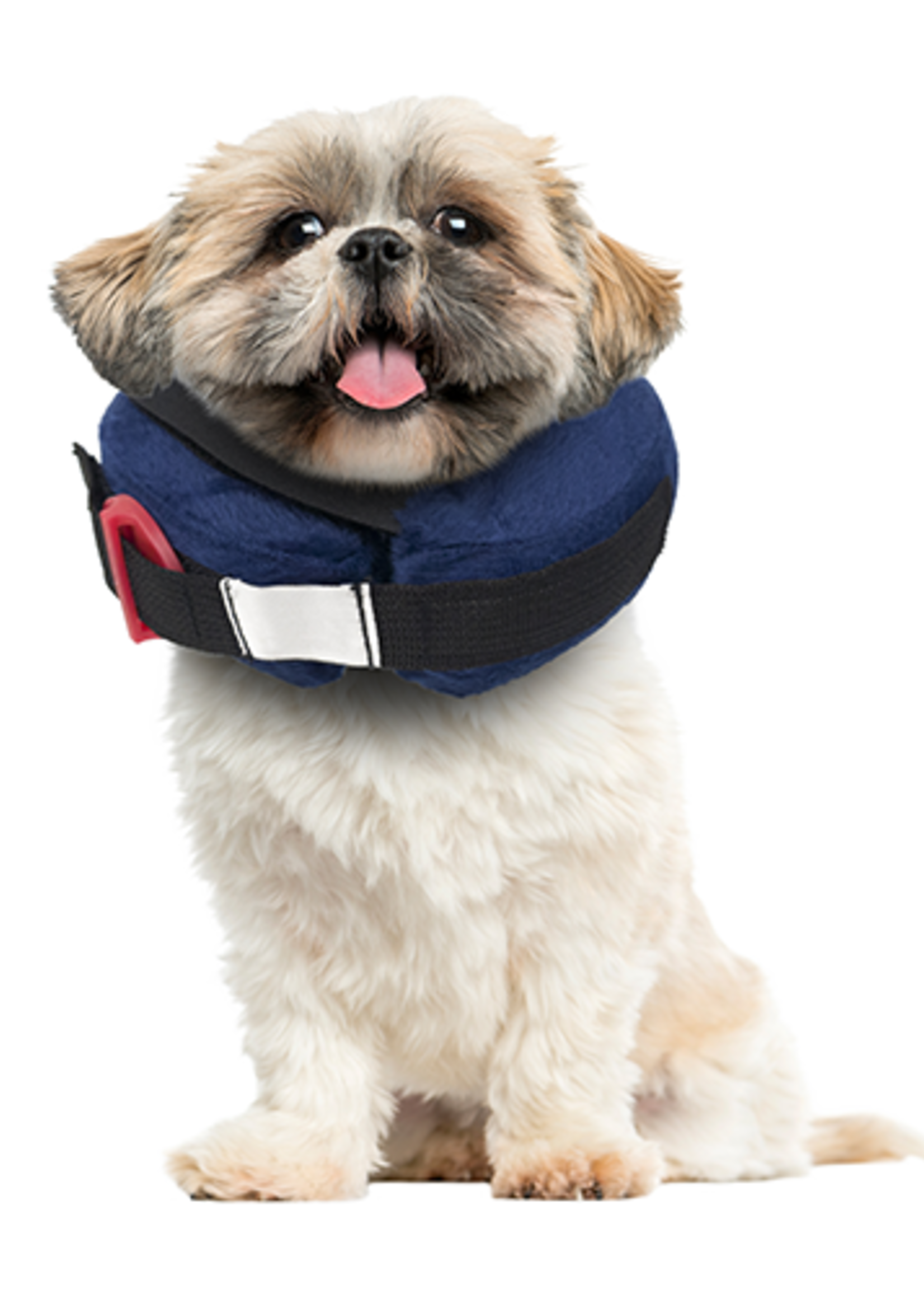 Protective Collar with Dog Calming Disc