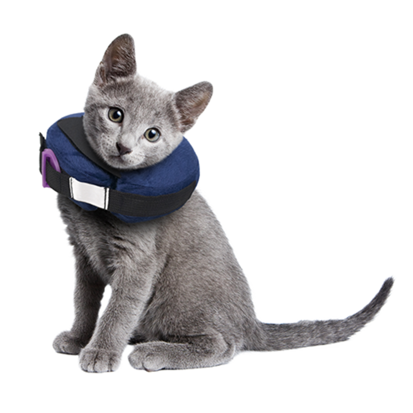 Protective Collar with Dog Calming Disc
