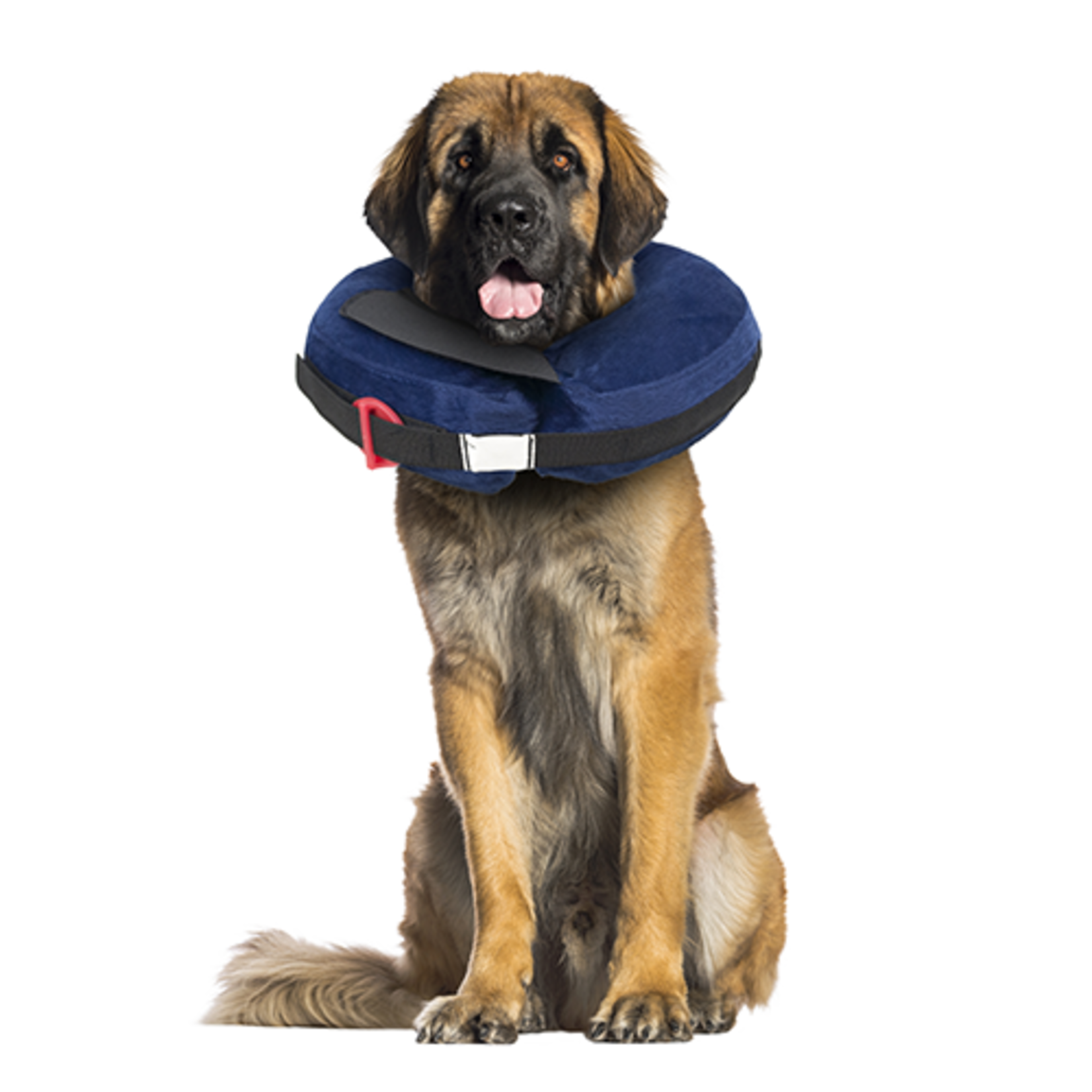 Collier post chirurgie