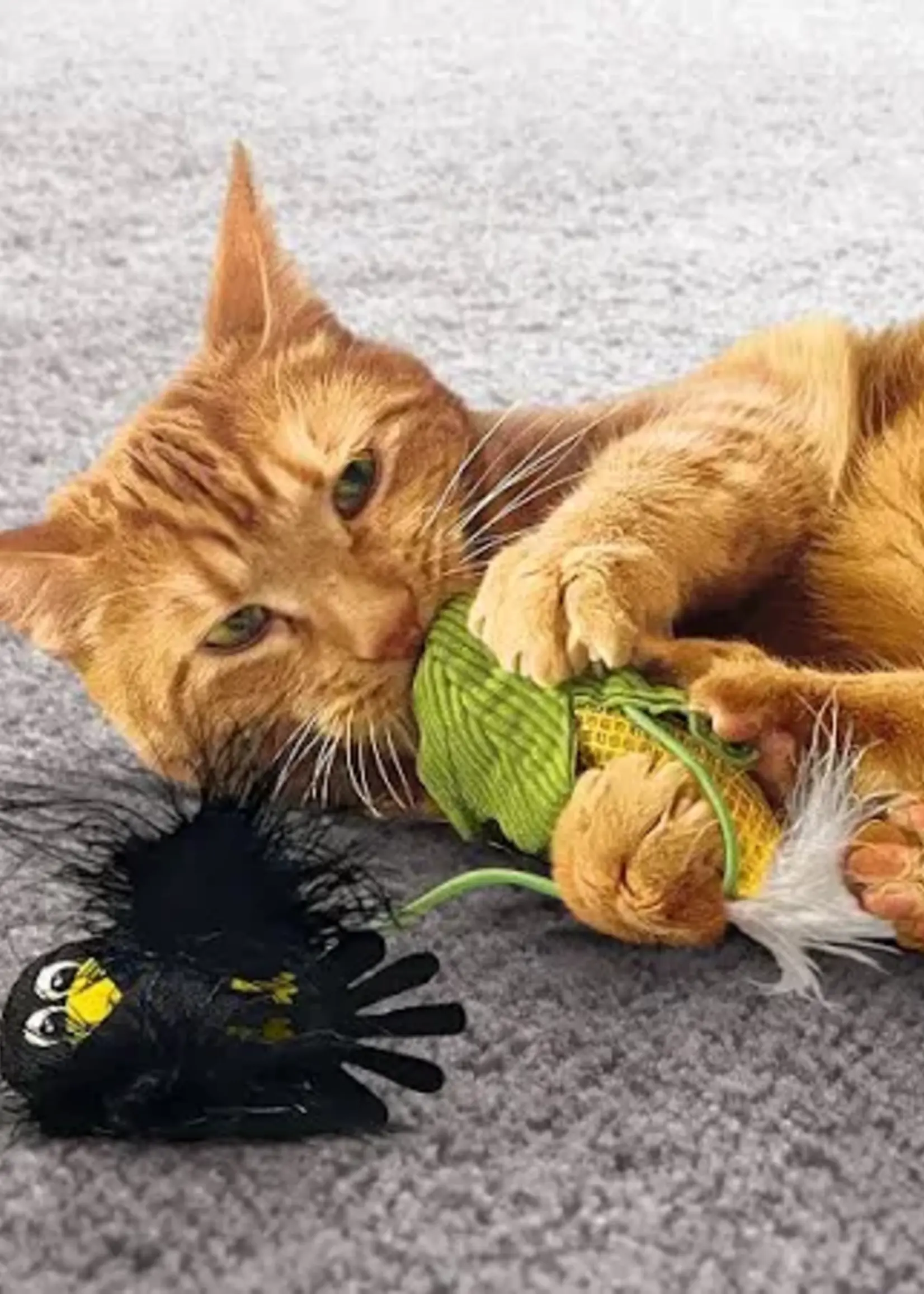 kong POUSSIN DANS UN MAIS, JOUET POUR CHAT
