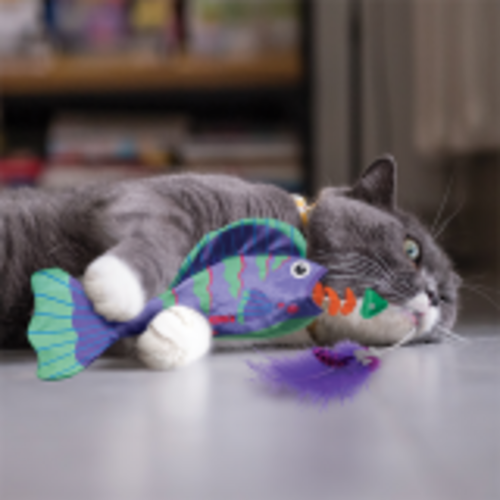 kong Angler Fish Assorted Cat Toy