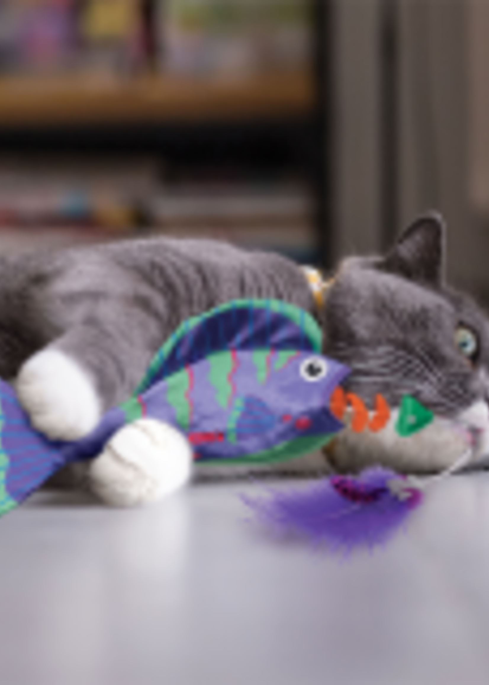 kong Angler Fish Assorted Cat Toy