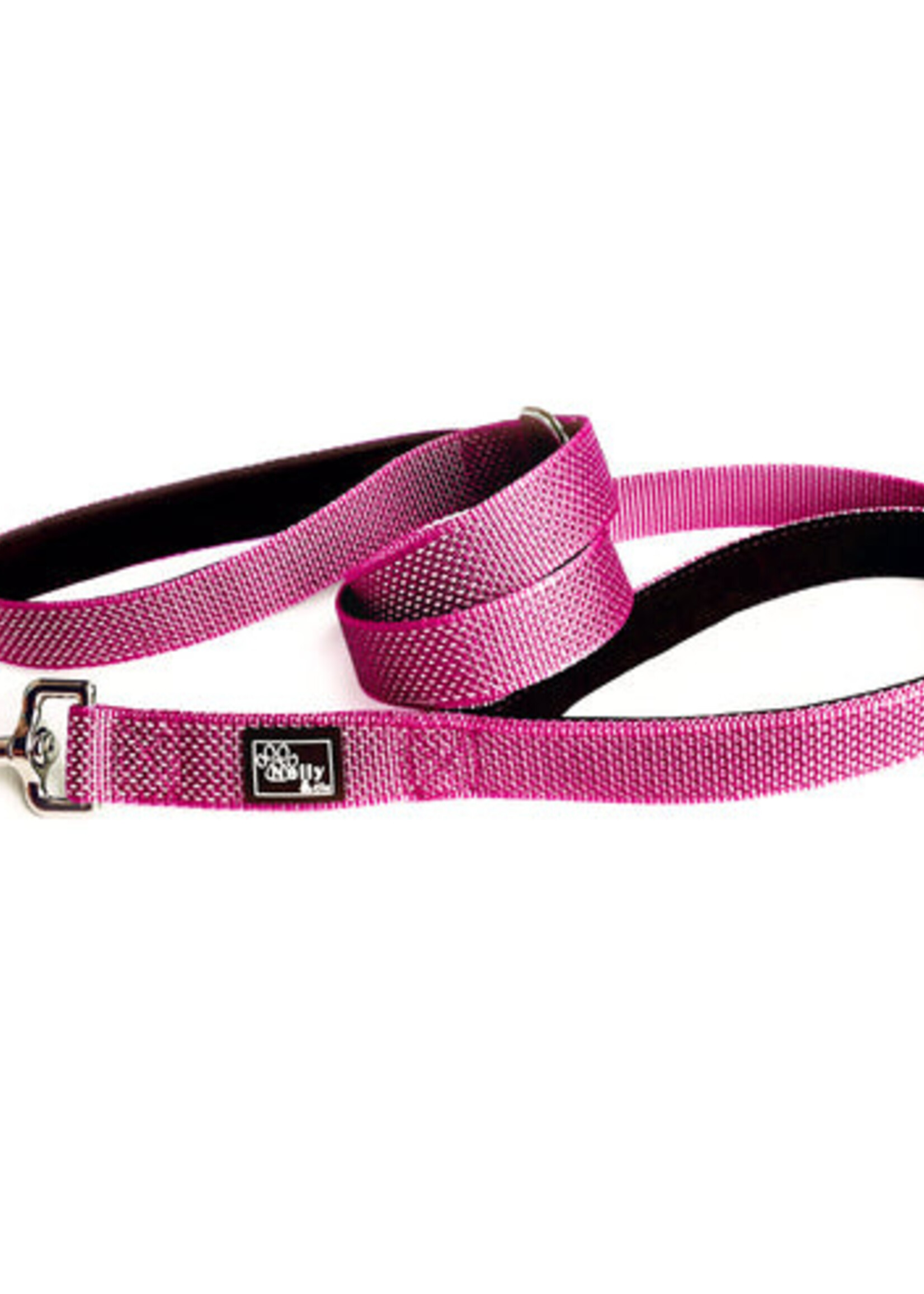 Double Handle Reflective Leash