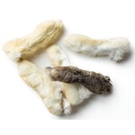 RABBIT FEET