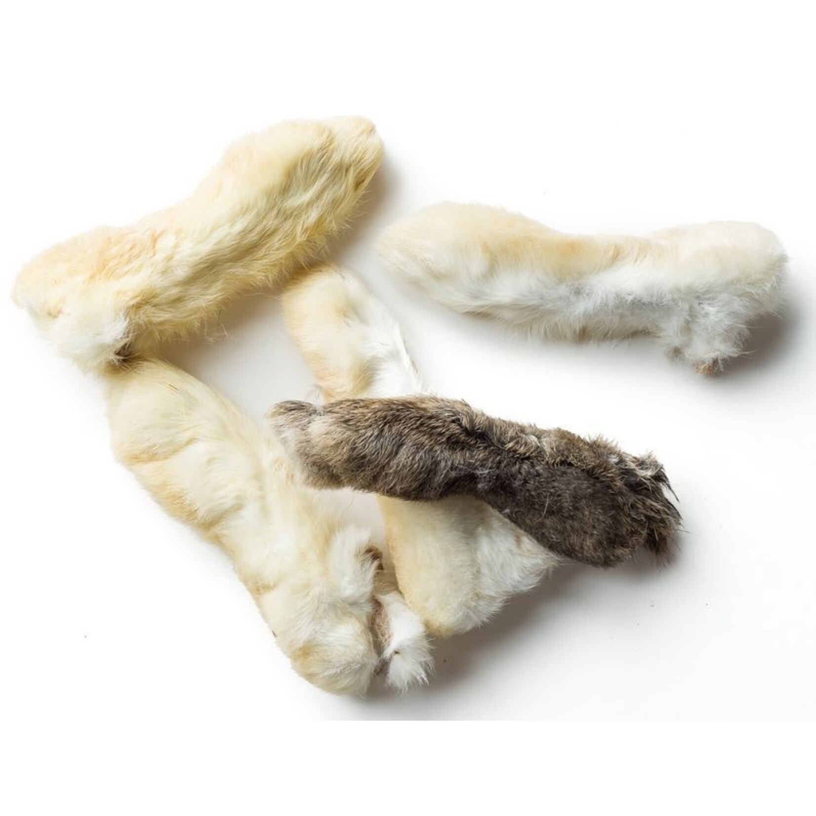 RABBIT FEET