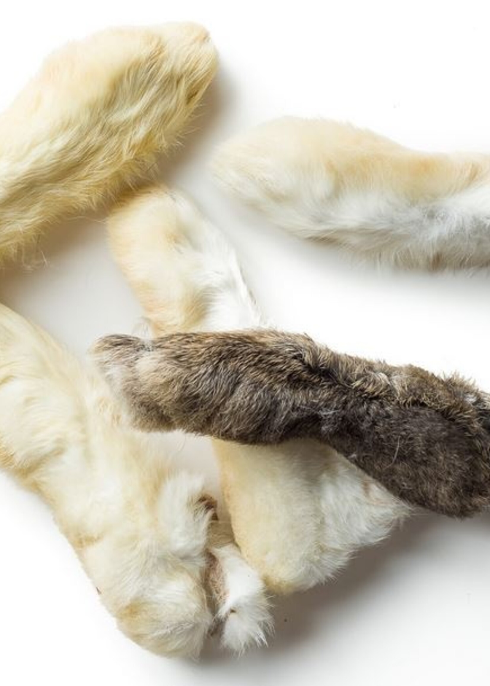 RABBIT FEET