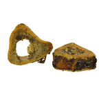 OS DE FÉMUR ET DU TIBIA DE BOEUF