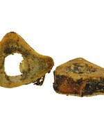 Os de fémur et tibia de bœuf | Friandise naturelle pour chien