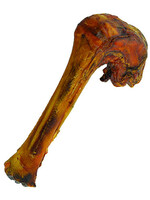 Lamb Shank Bone