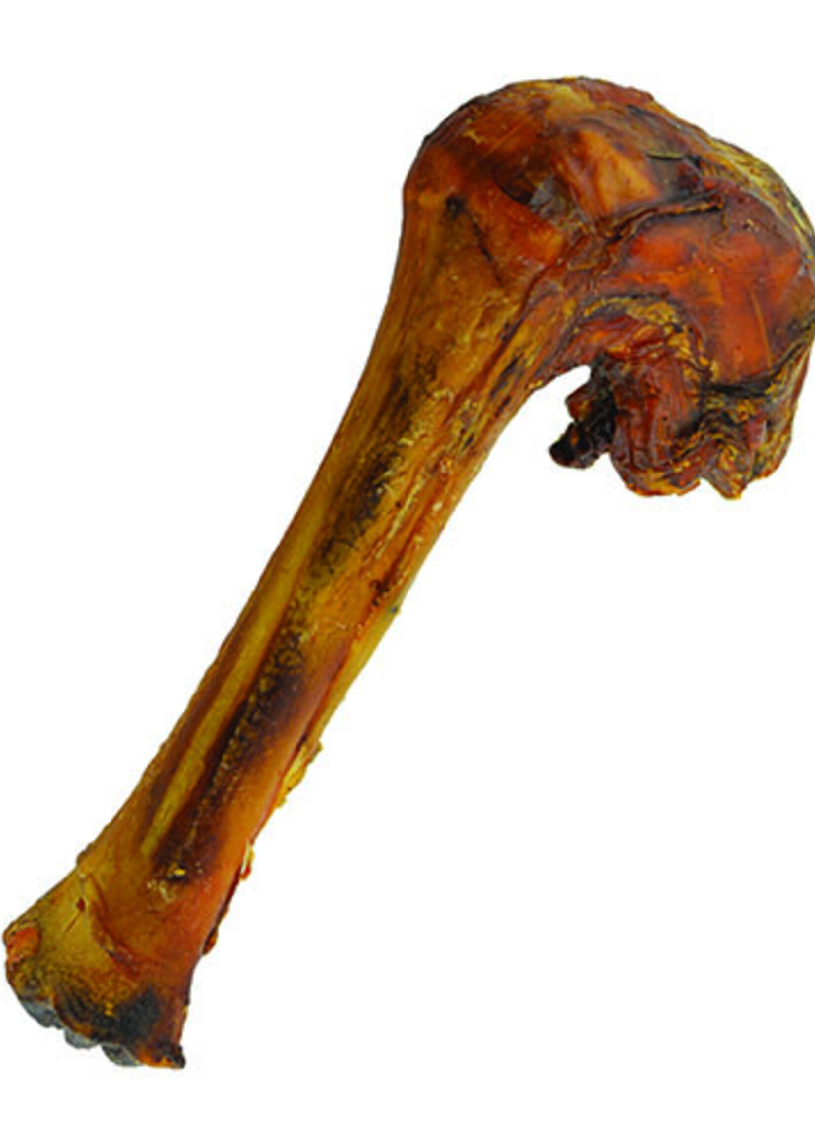 Lamb Shank Bone