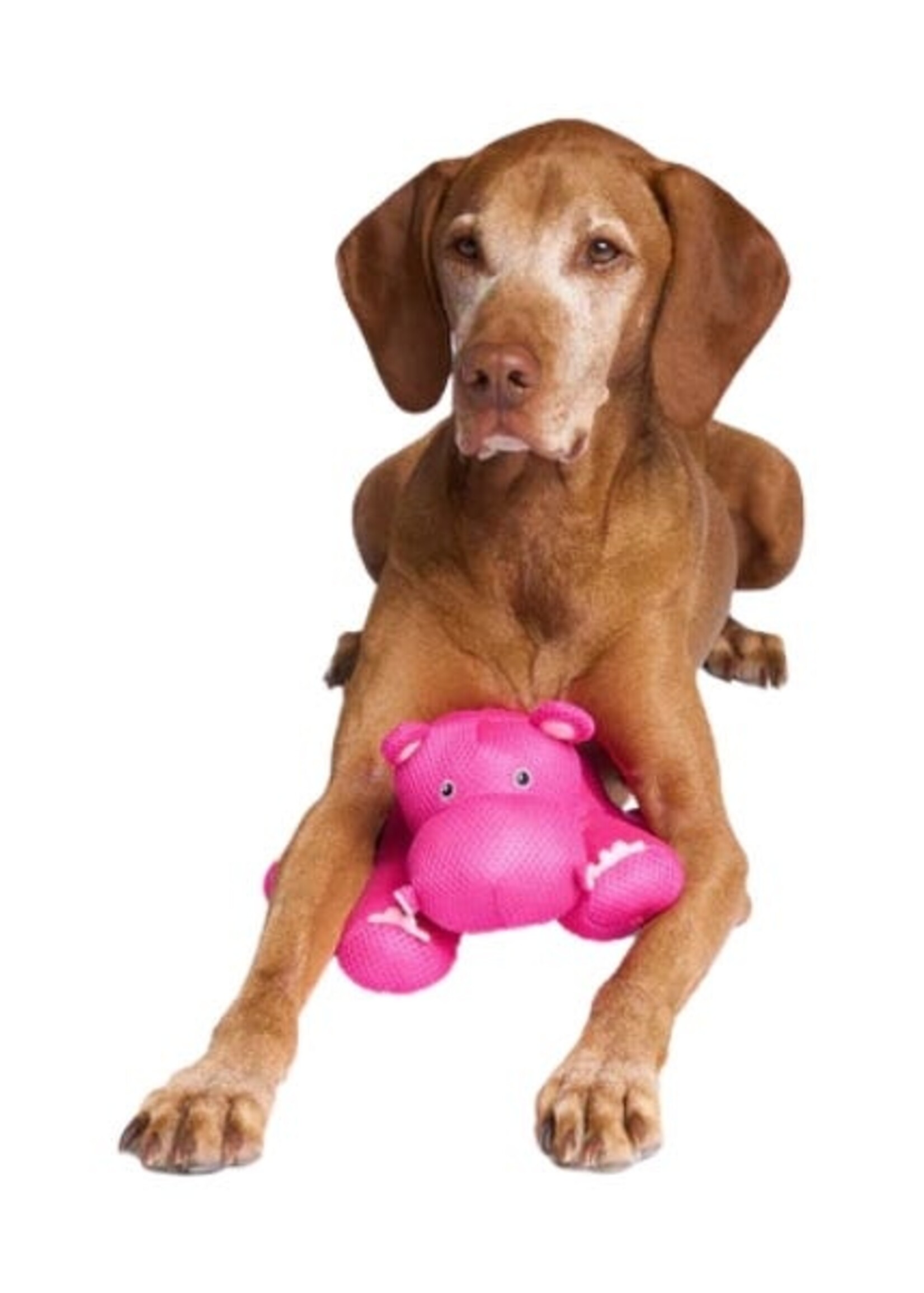 Hippopotame rafraîchissant