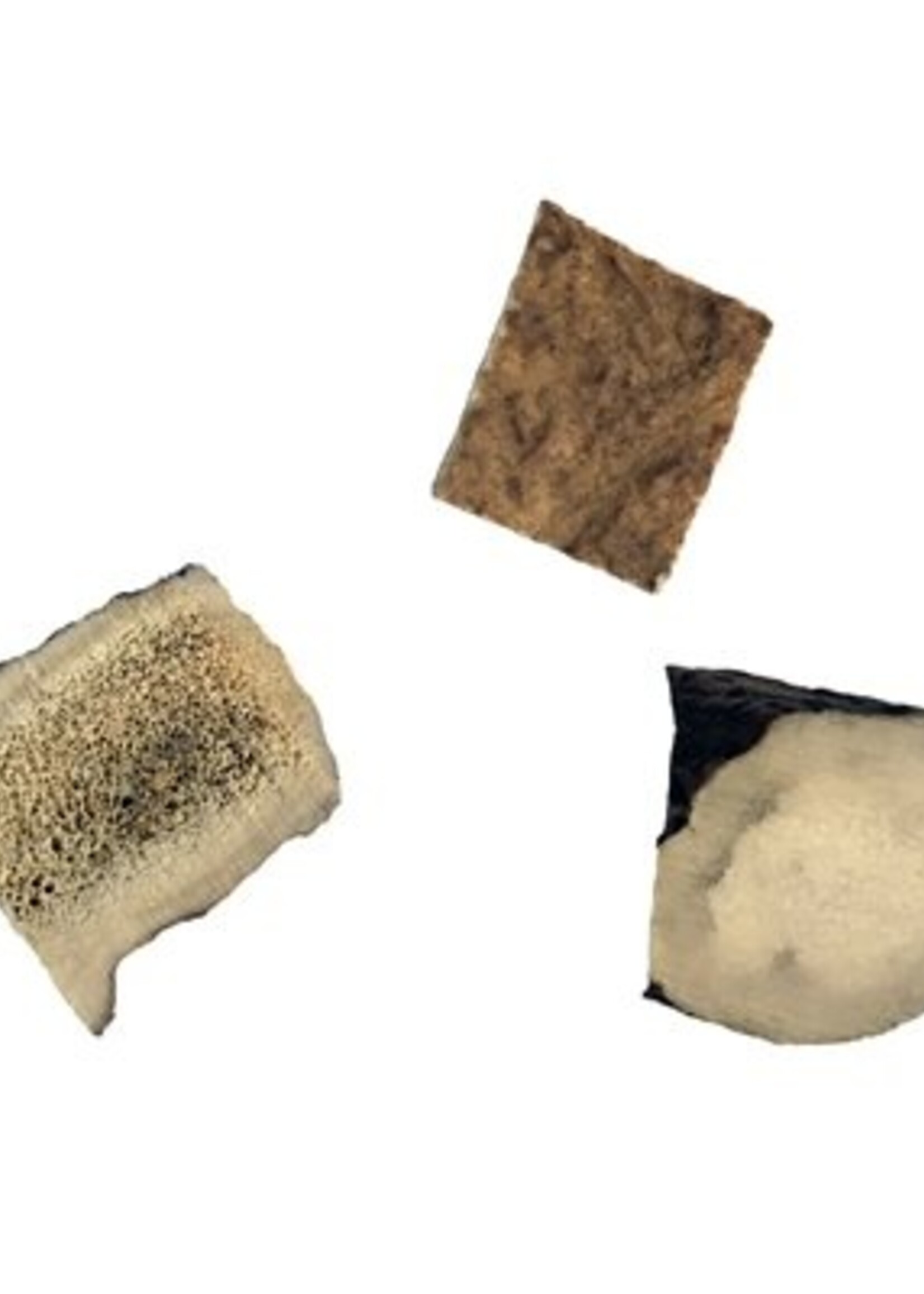 Antler Chewz for Small Animals