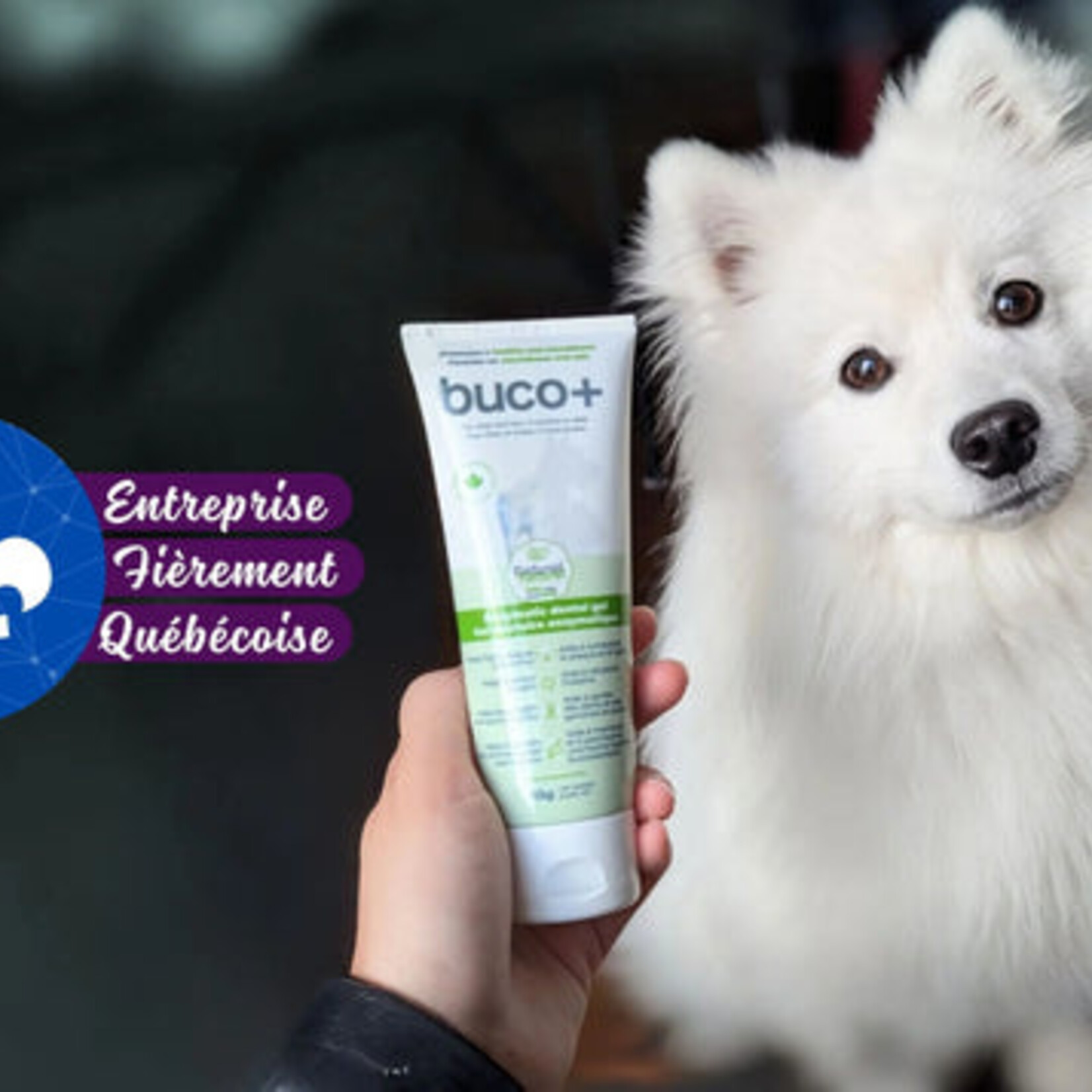 buco+ Soin dentaire pour chien et chat | Antiseptique et antioxydant naturel