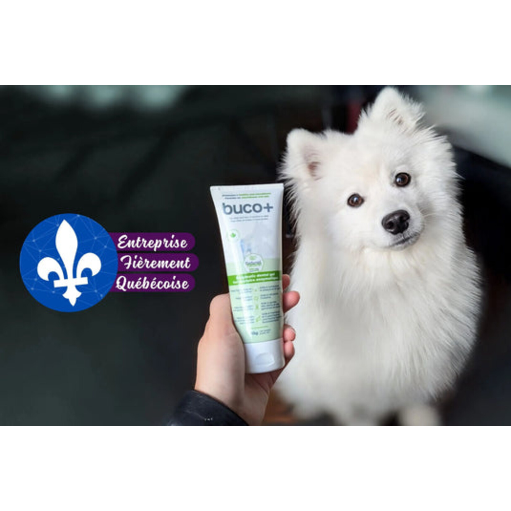 Buco+ natural enzymatic dental gel for dogs and cats