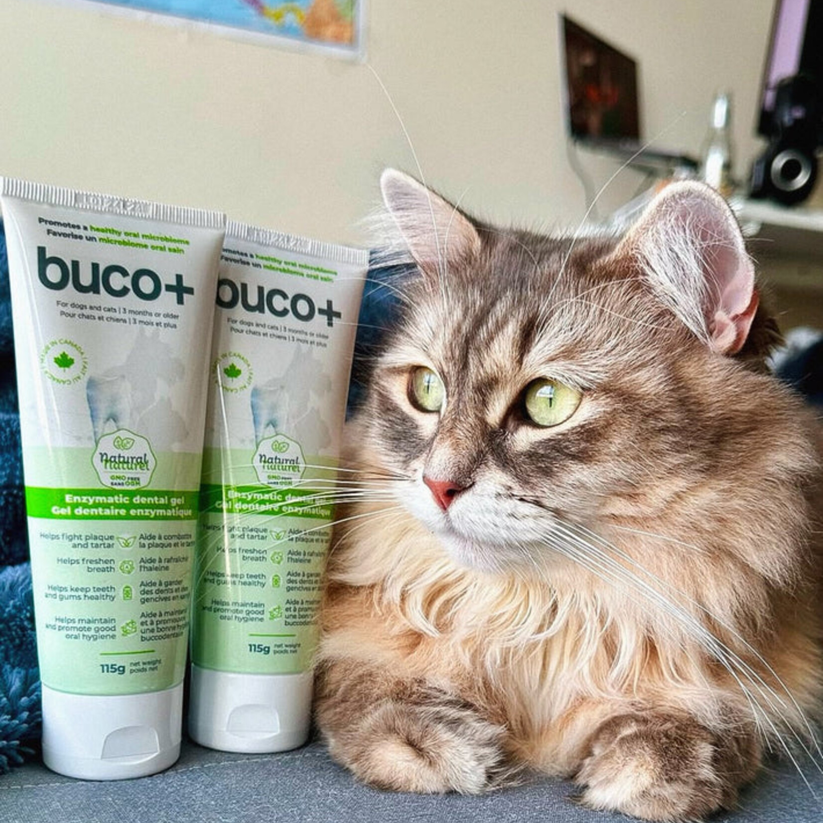 Buco+ natural enzymatic dental gel for dogs and cats