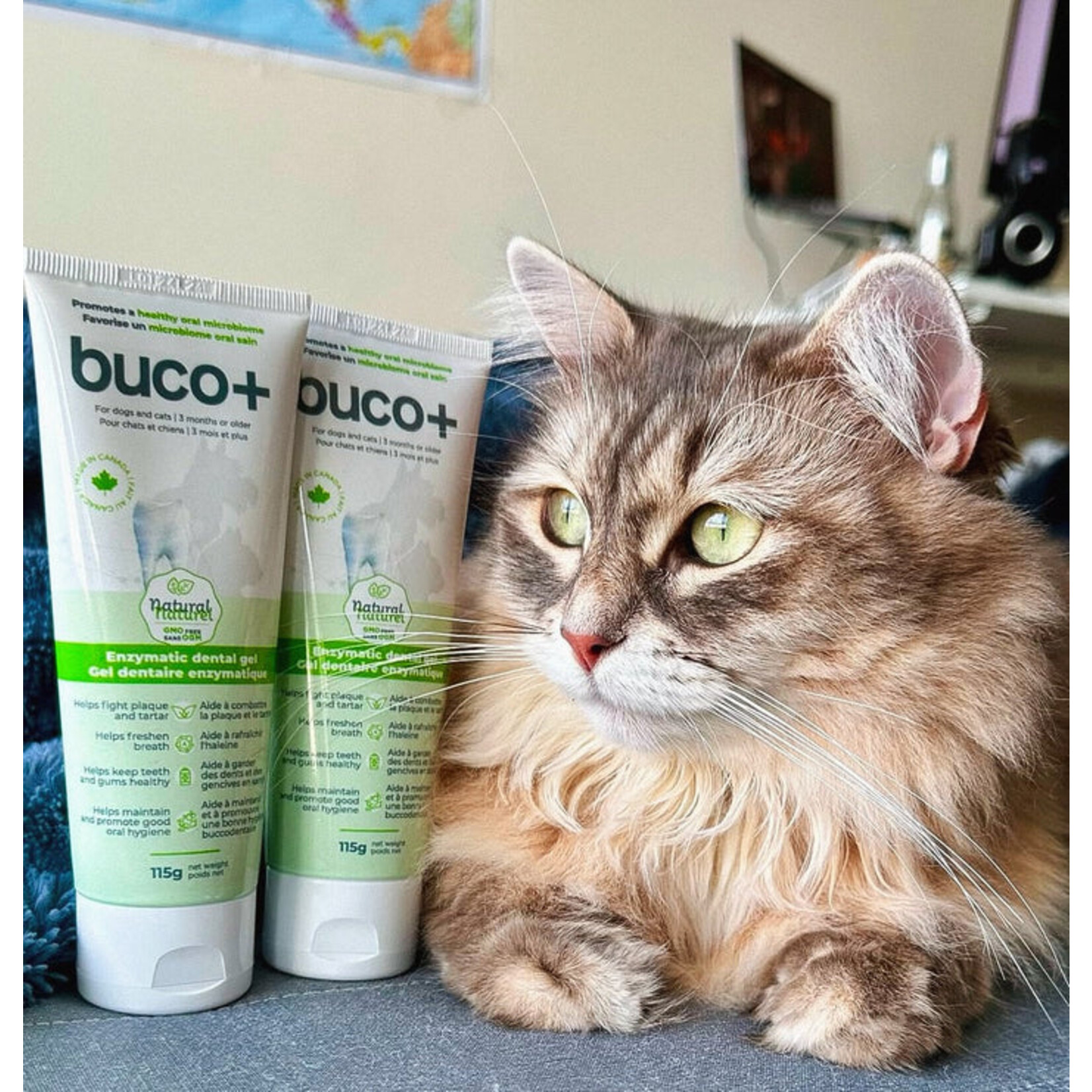 Buco+ natural enzymatic dental gel for dogs and cats