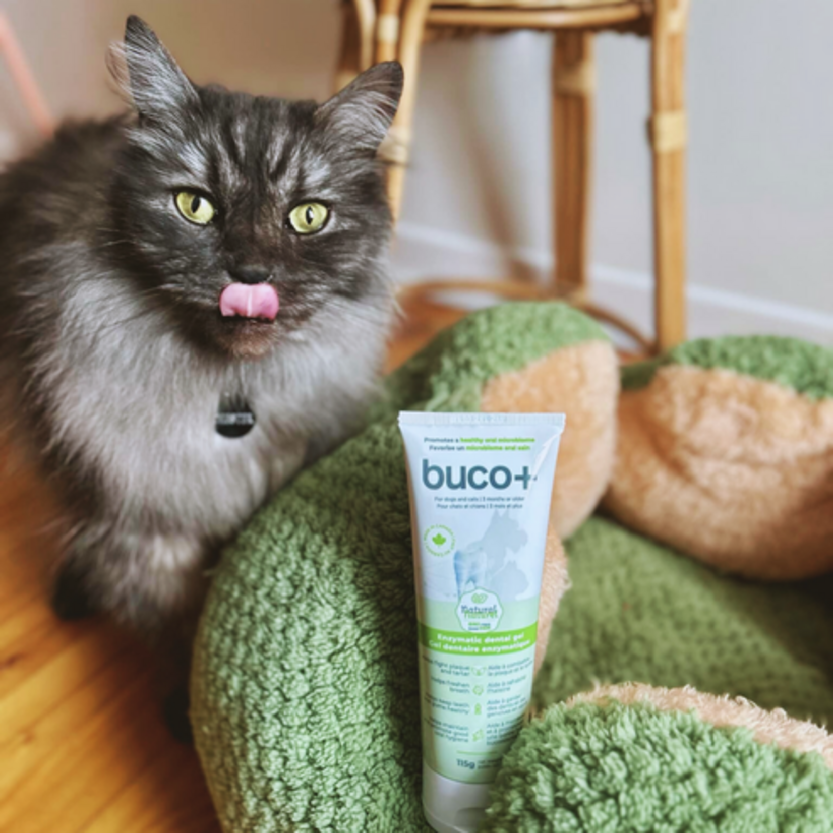 Buco+ natural enzymatic dental gel for dogs and cats