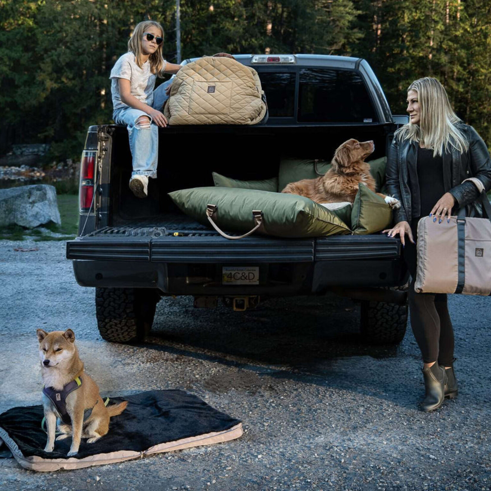 Lit de voyage pour animaux de compagnie