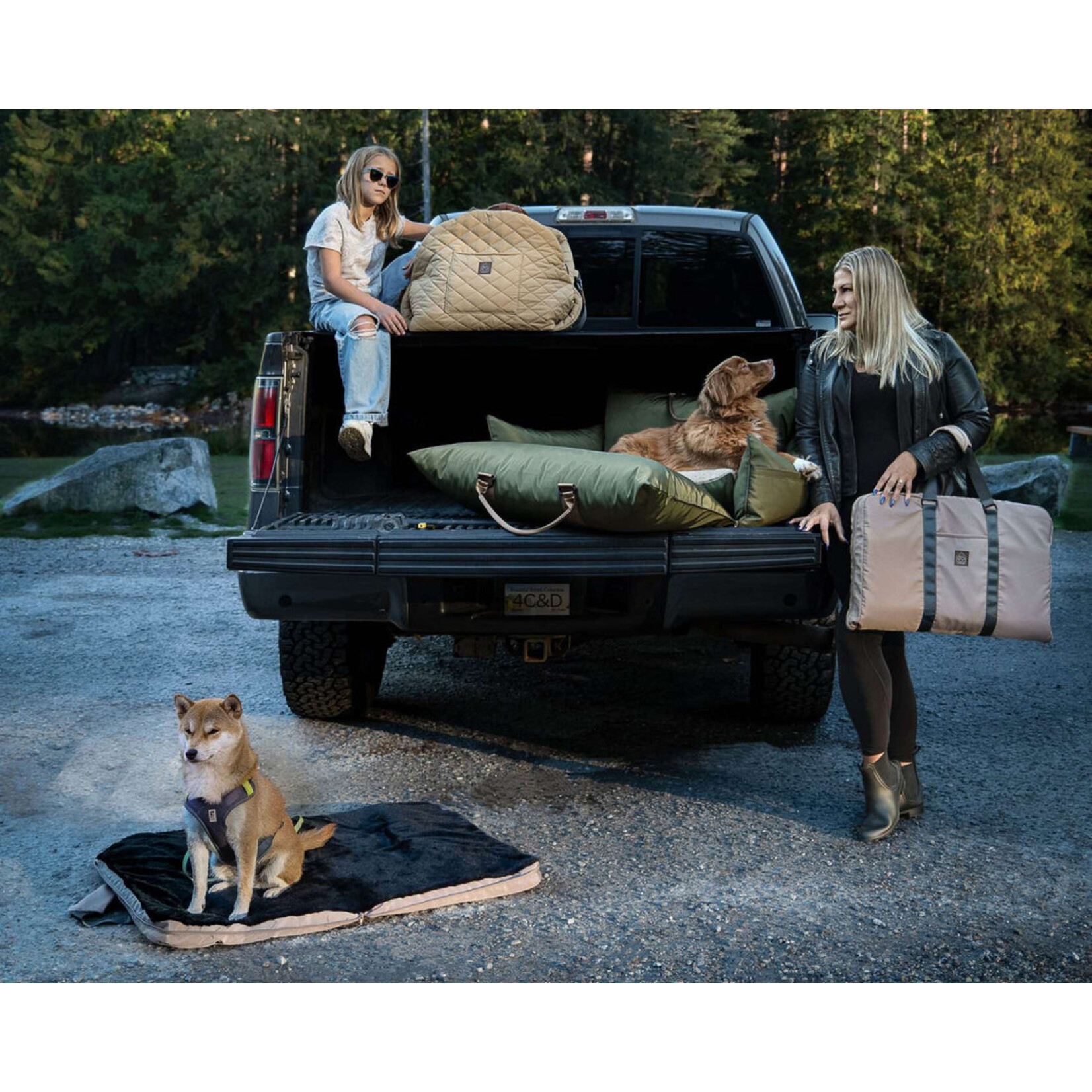 Lit de voyage pour animaux de compagnie