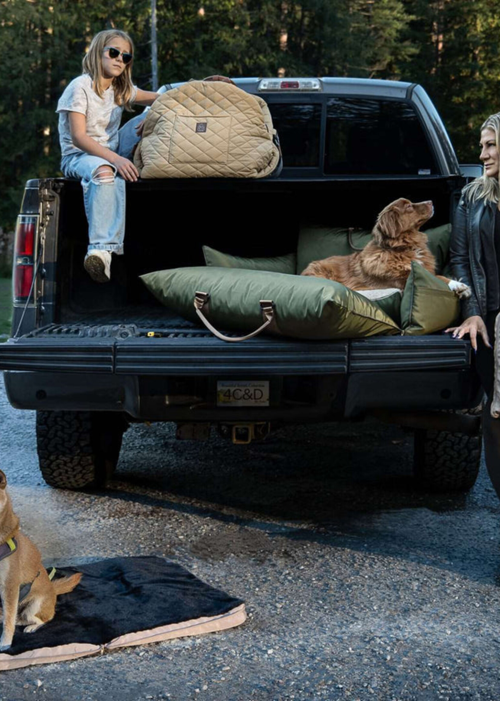 Lit de voyage pour animaux de compagnie