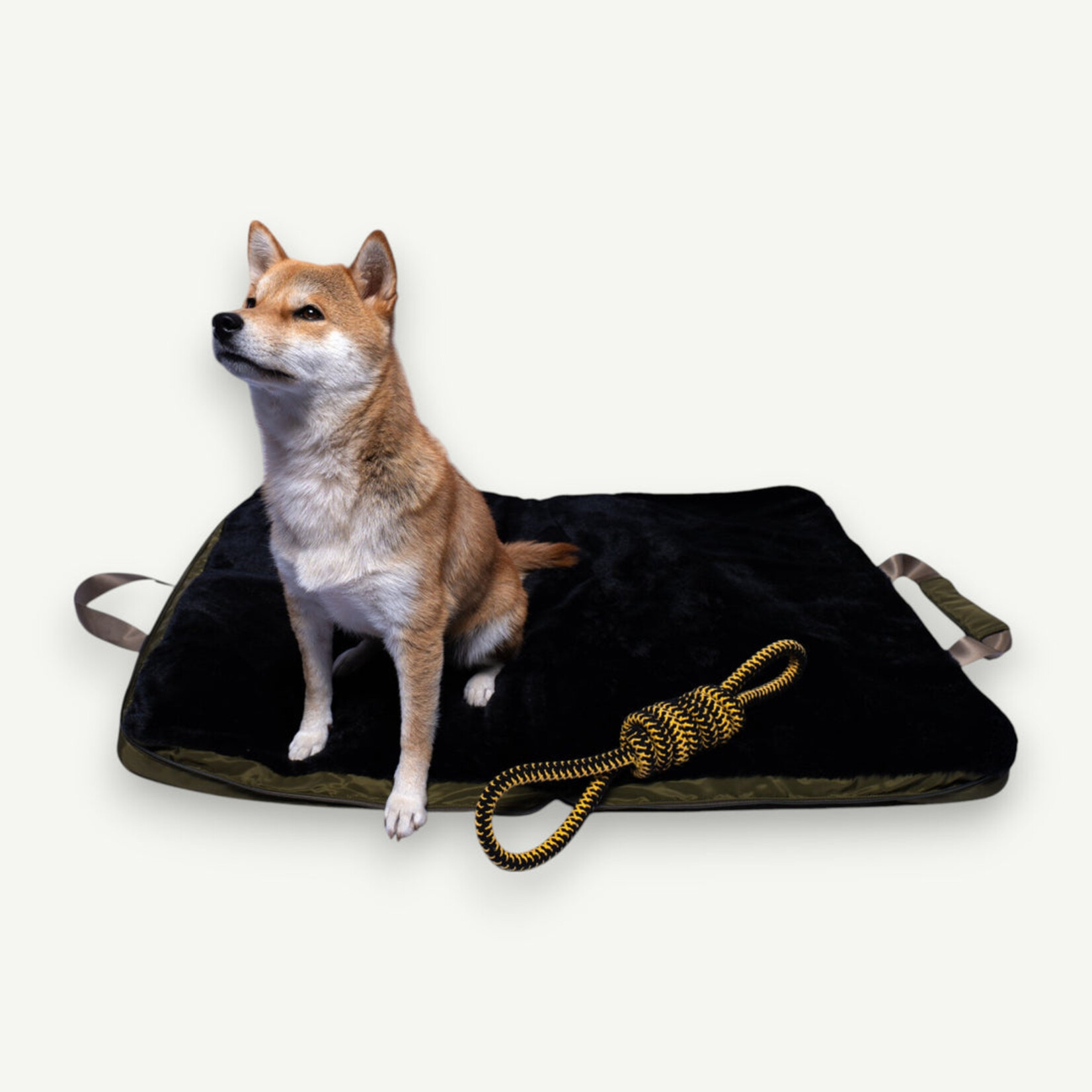 Lit de voyage pour animaux de compagnie