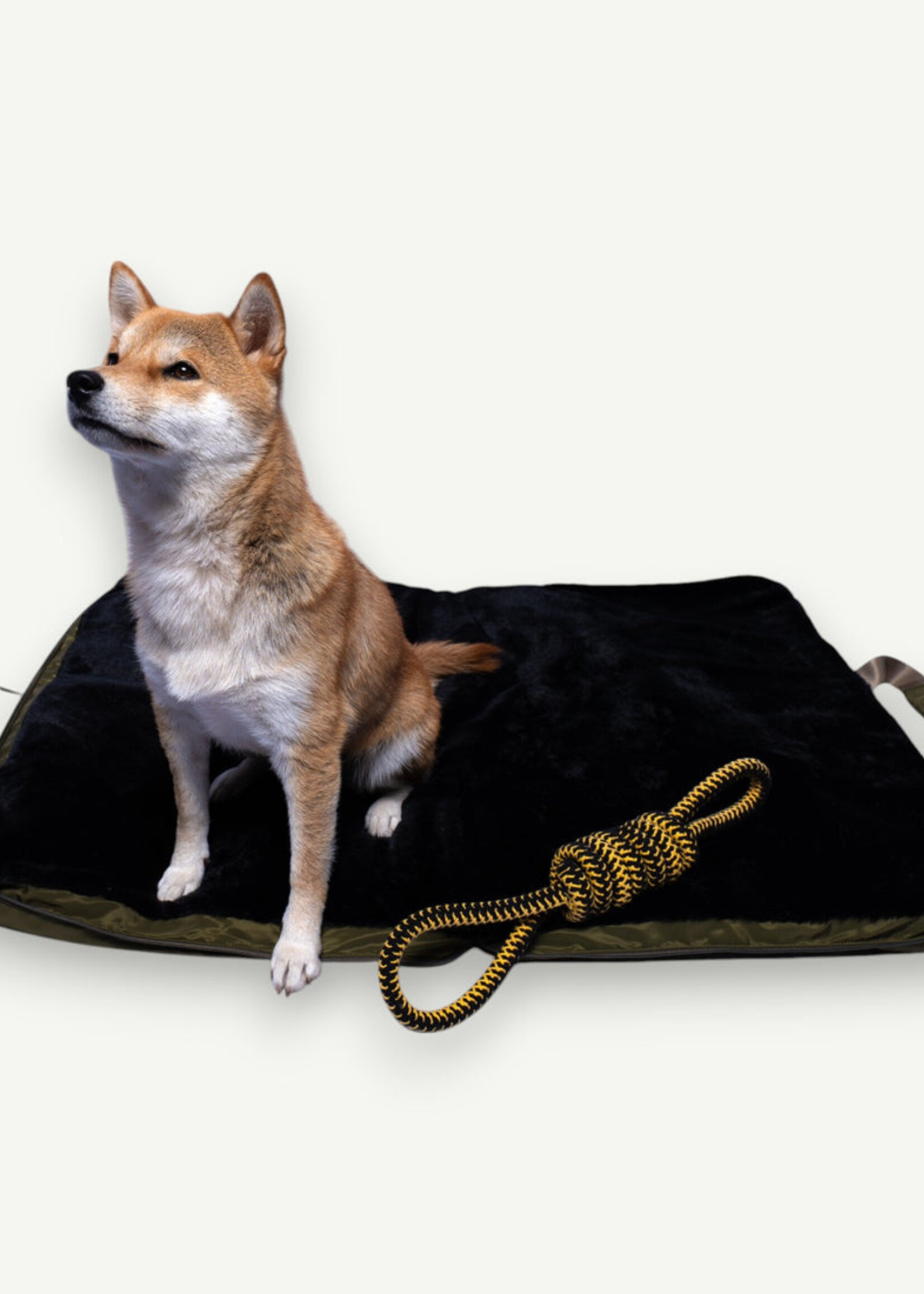 Lit de voyage pour animaux de compagnie