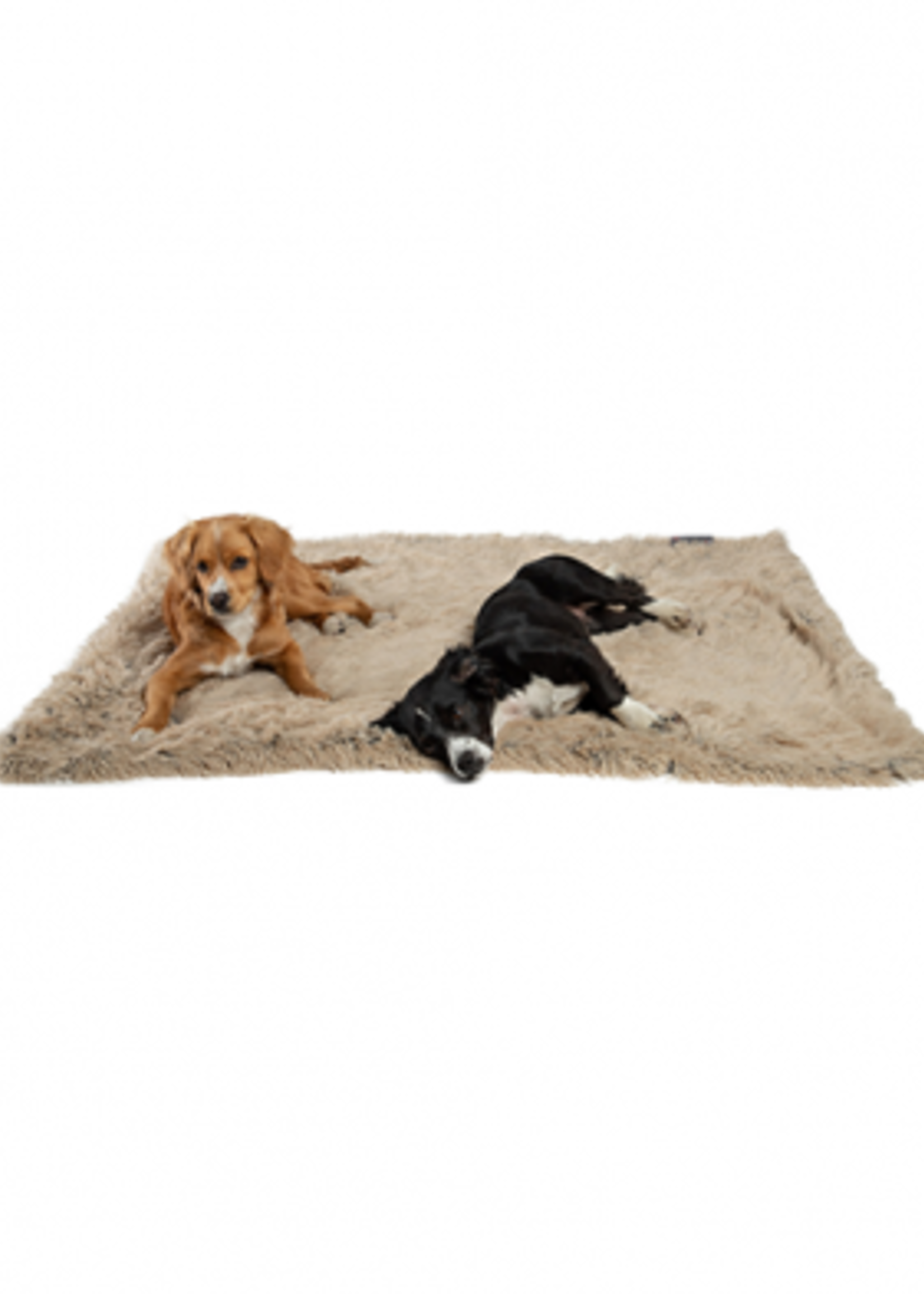 Best Friends by Sheri Throw Blanket in Shag Taupe (40" x 50")
